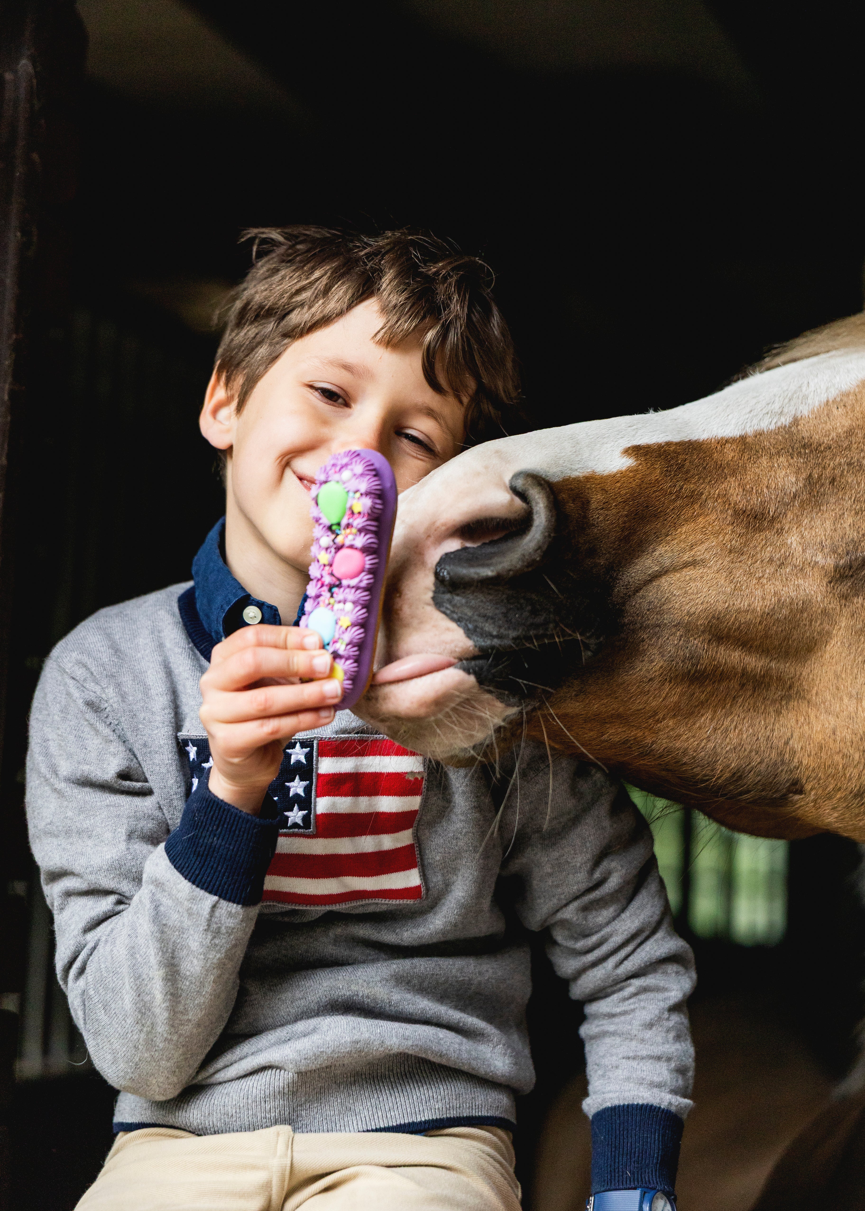 Candy Horse Stable Party Eclair