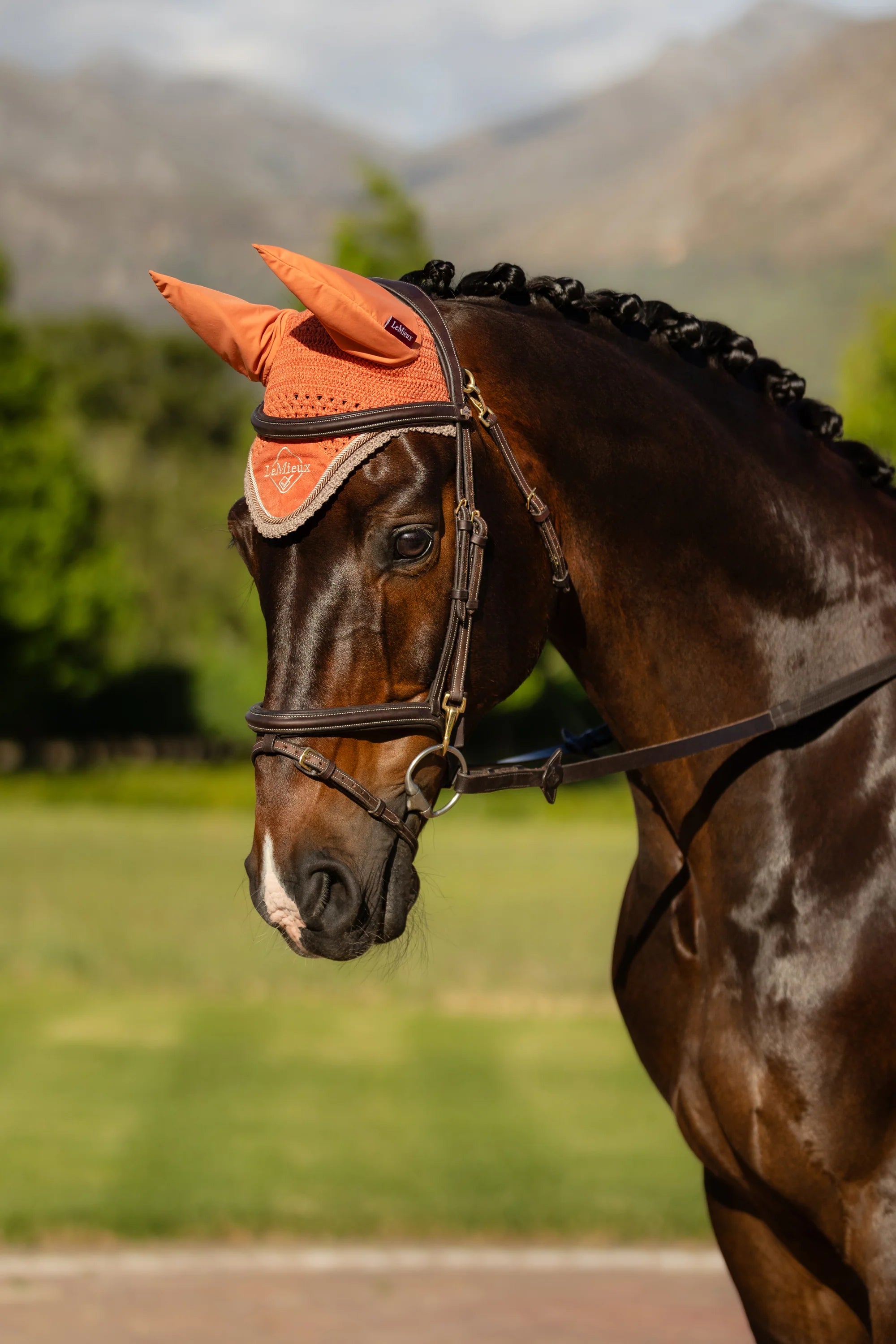 LeMieux Classic Fly Hood-OUTLET