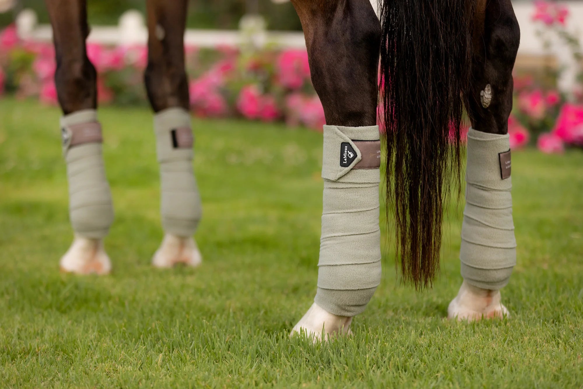 LeMieux Classic Polo Bandager