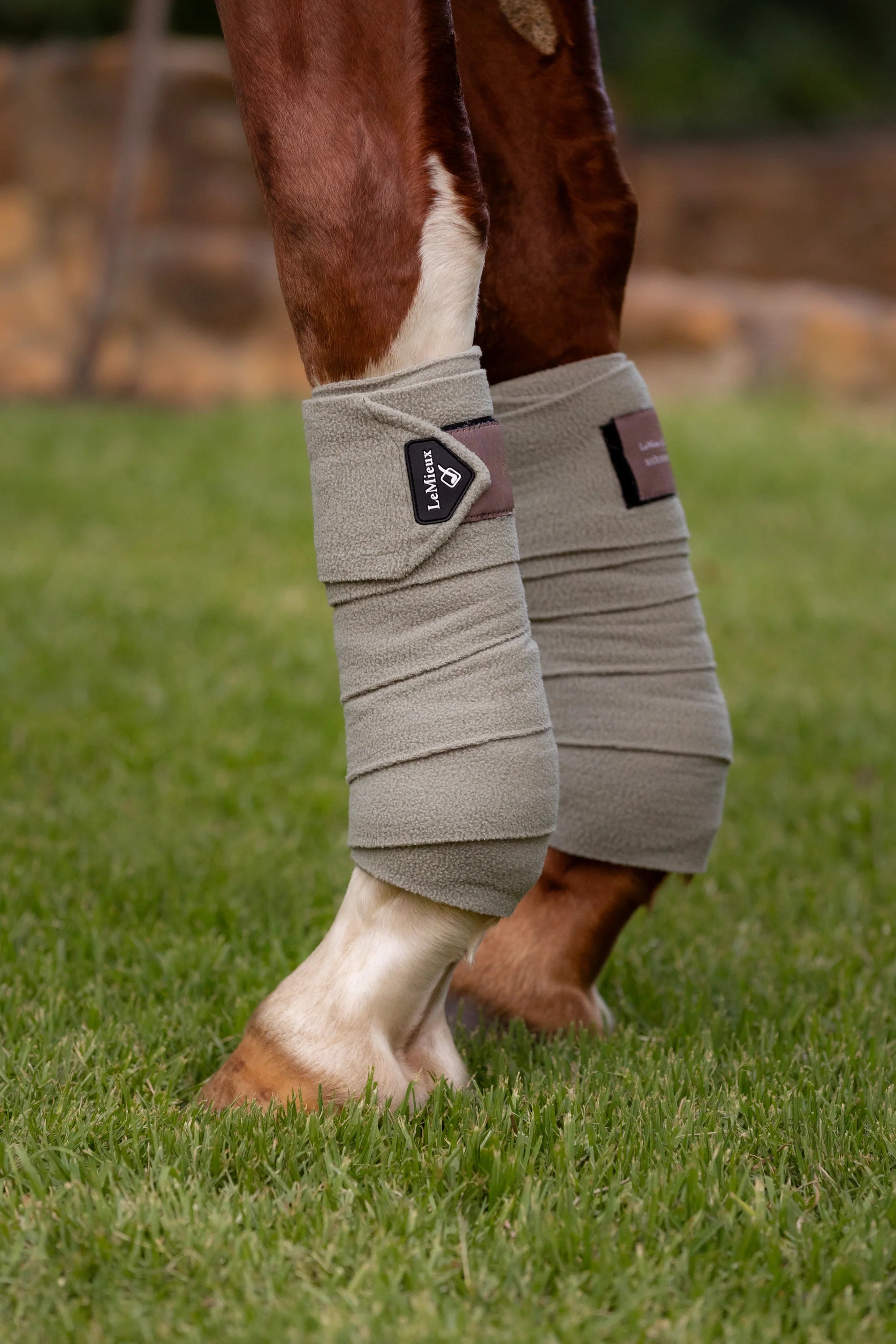 LeMieux Classic Polo Bandager