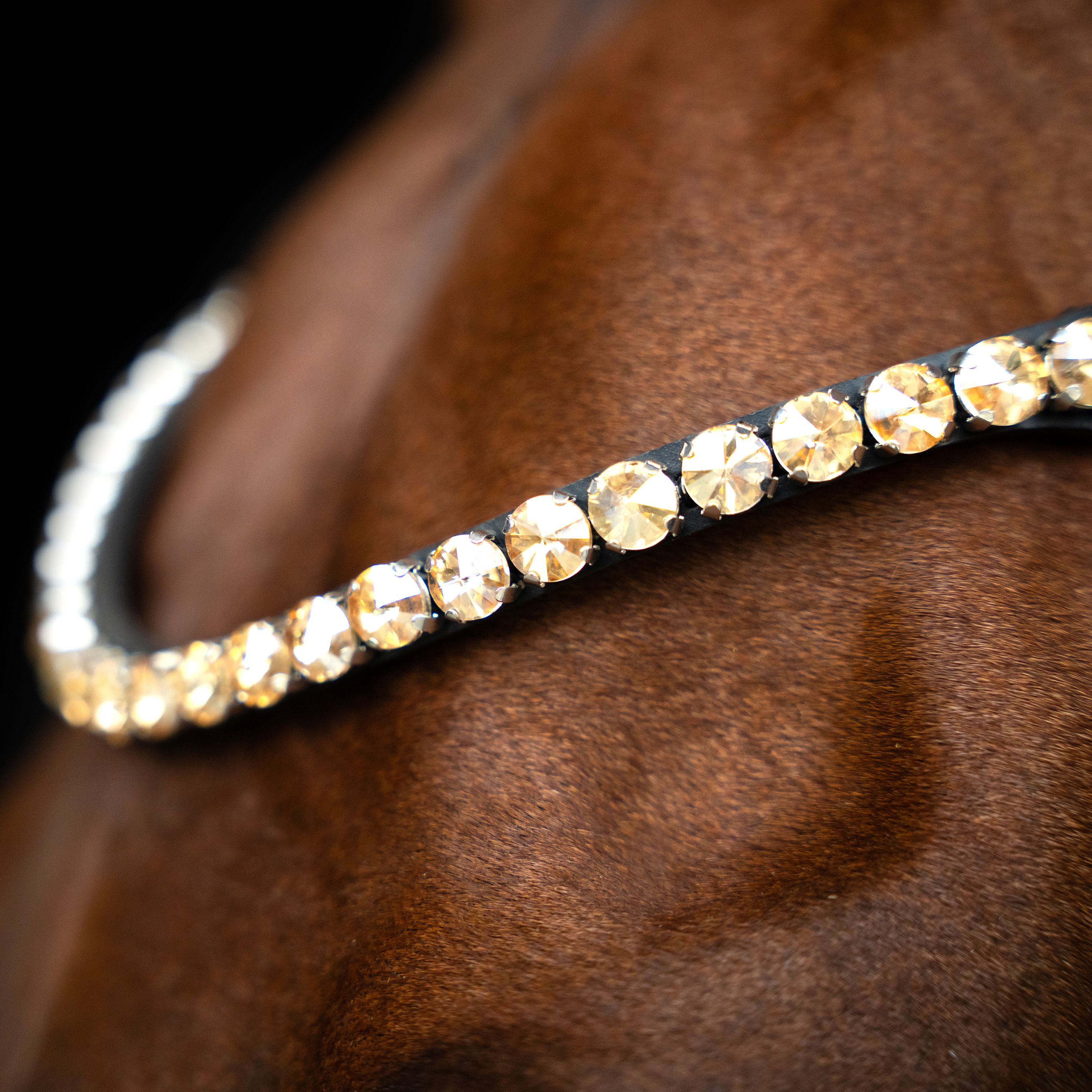 Imperial Riding Browband IRHGrande Gold