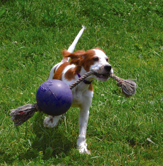 Jolly Ball Romp-N-Roll