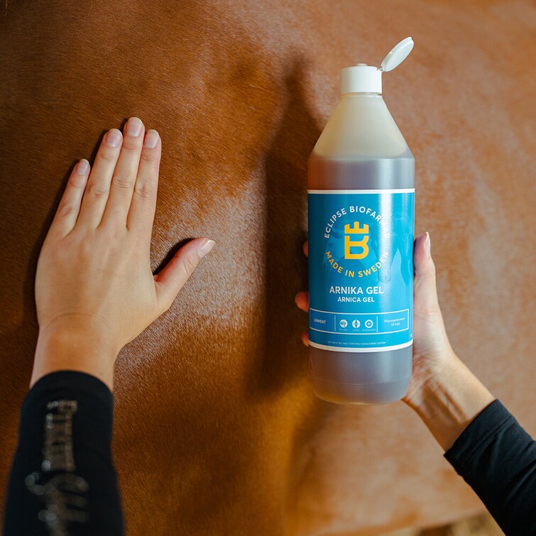 Biofarmab Arnika Liniment Gel