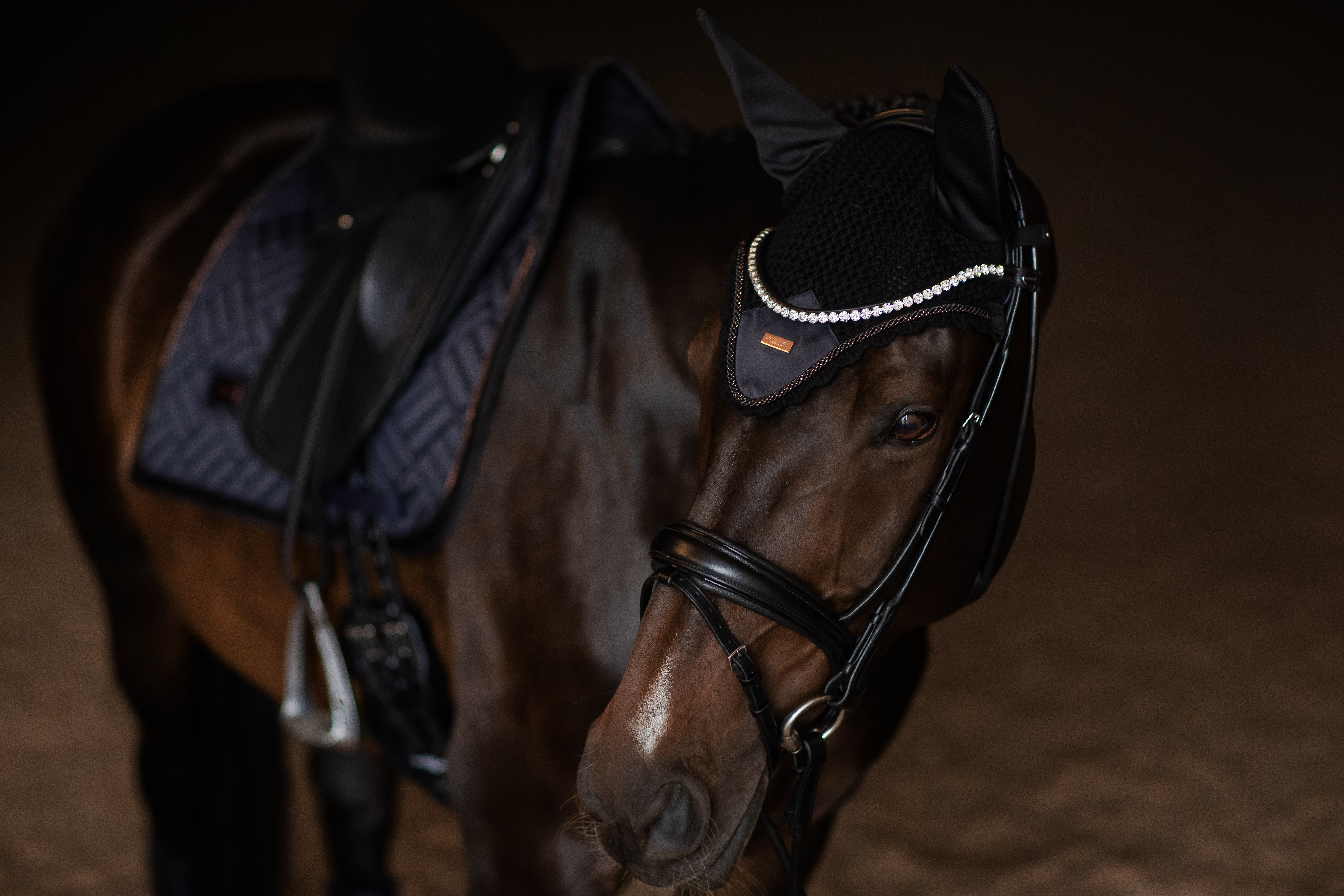 Equestrian Stockholm Dark Ocean Hut