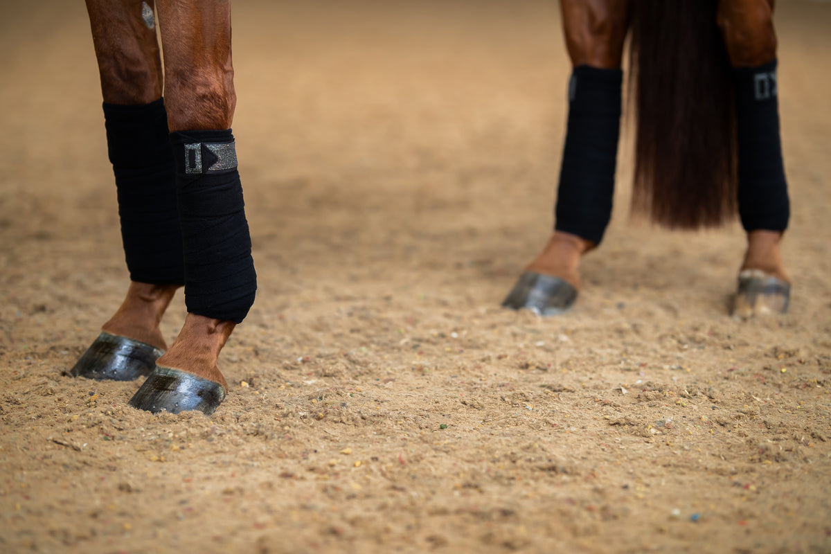 Equestrian Stockholm Northern Light Glimmer Fleecebandager