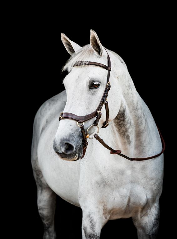 Horseware Micklem 2 Multibridle - OUTLET
