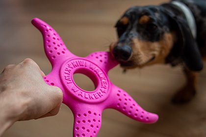Kiwi Walker® Let Play Octopus & Starfish