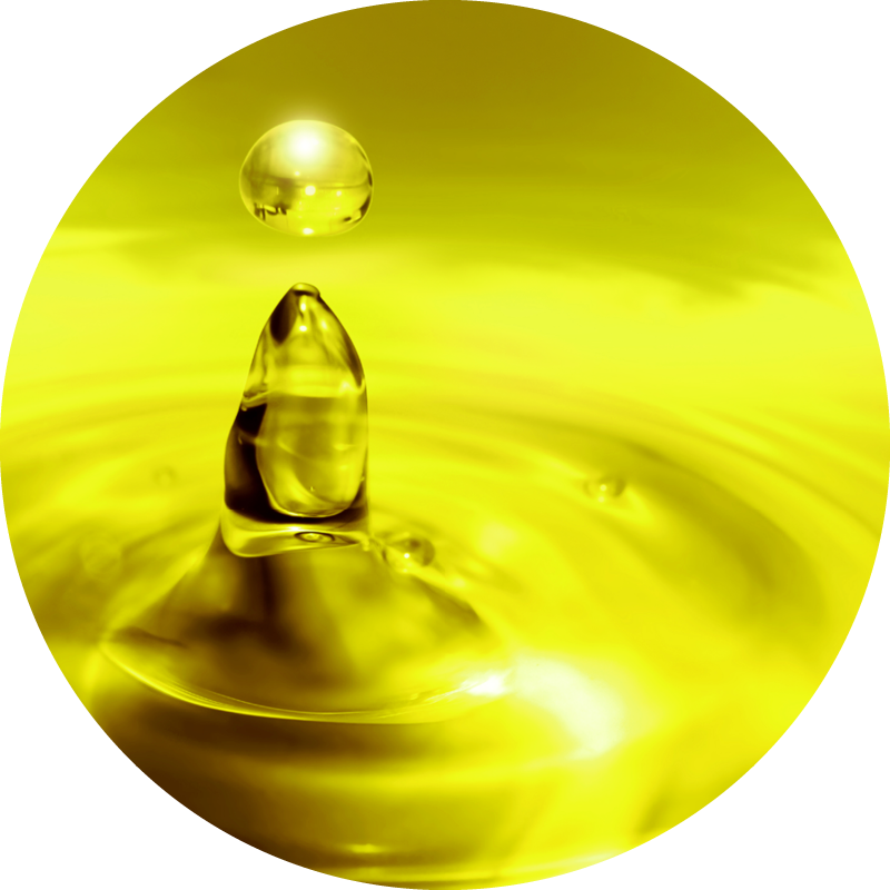 Nordic Horse DHA Algae Oil