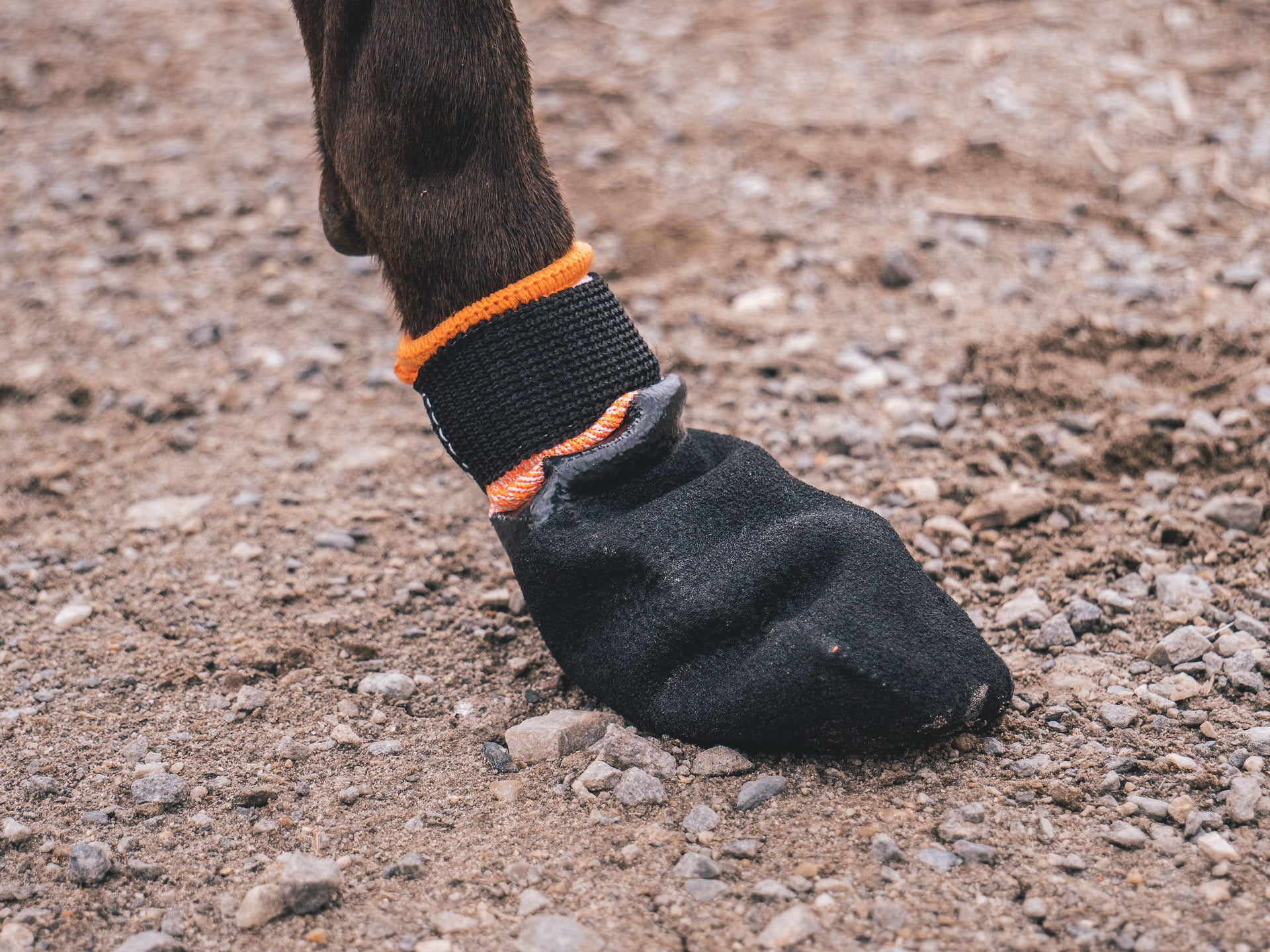 Non-Stop Dogwear Protector Bootie