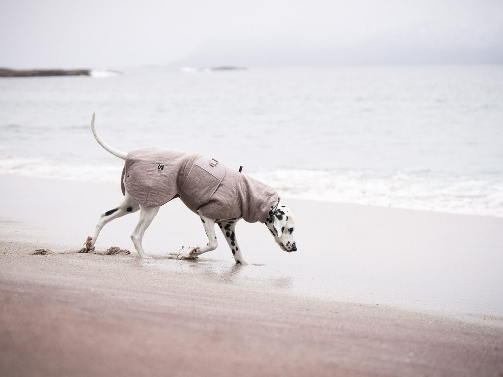 Non-Stop Dogwear Drying Coat