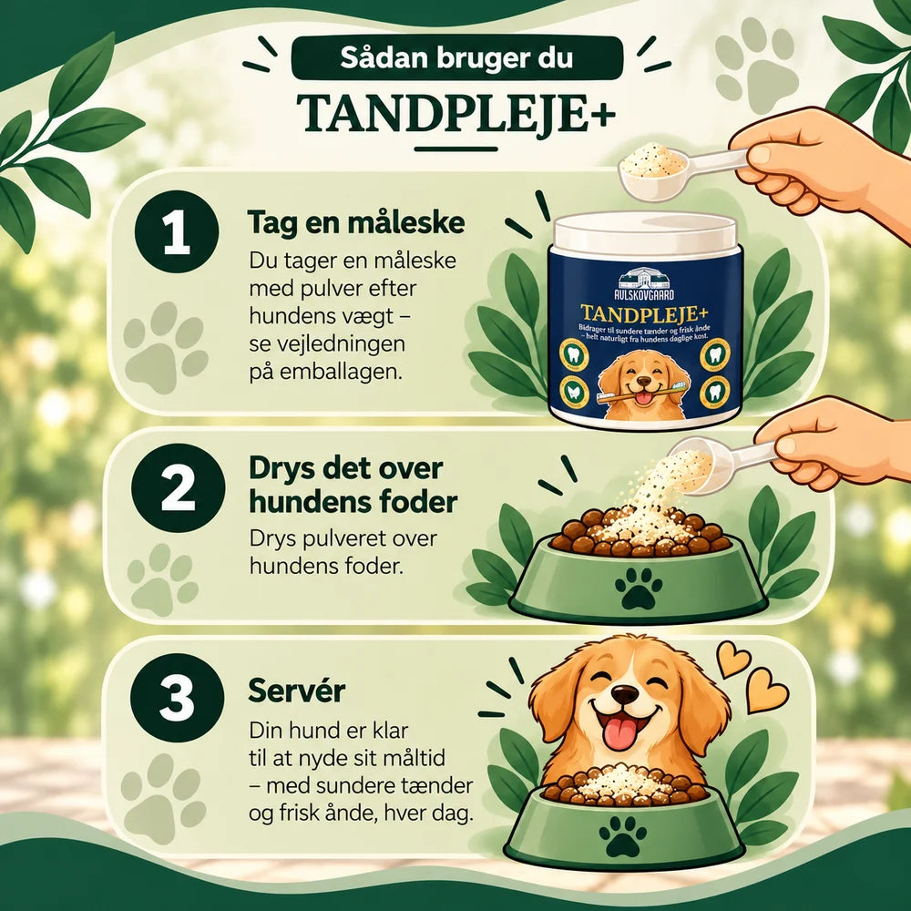 Avlskovgaard Tandpleje+