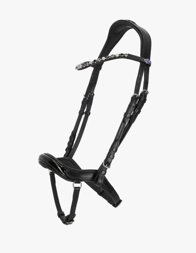 QHP Fjara Icelandic Bridle
