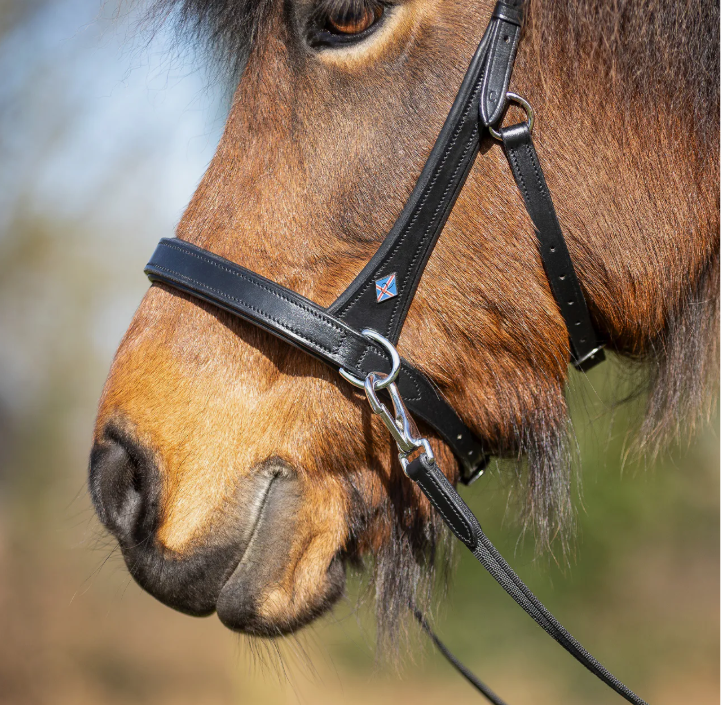 QHP Fjara Icelandic Bitless Bridle