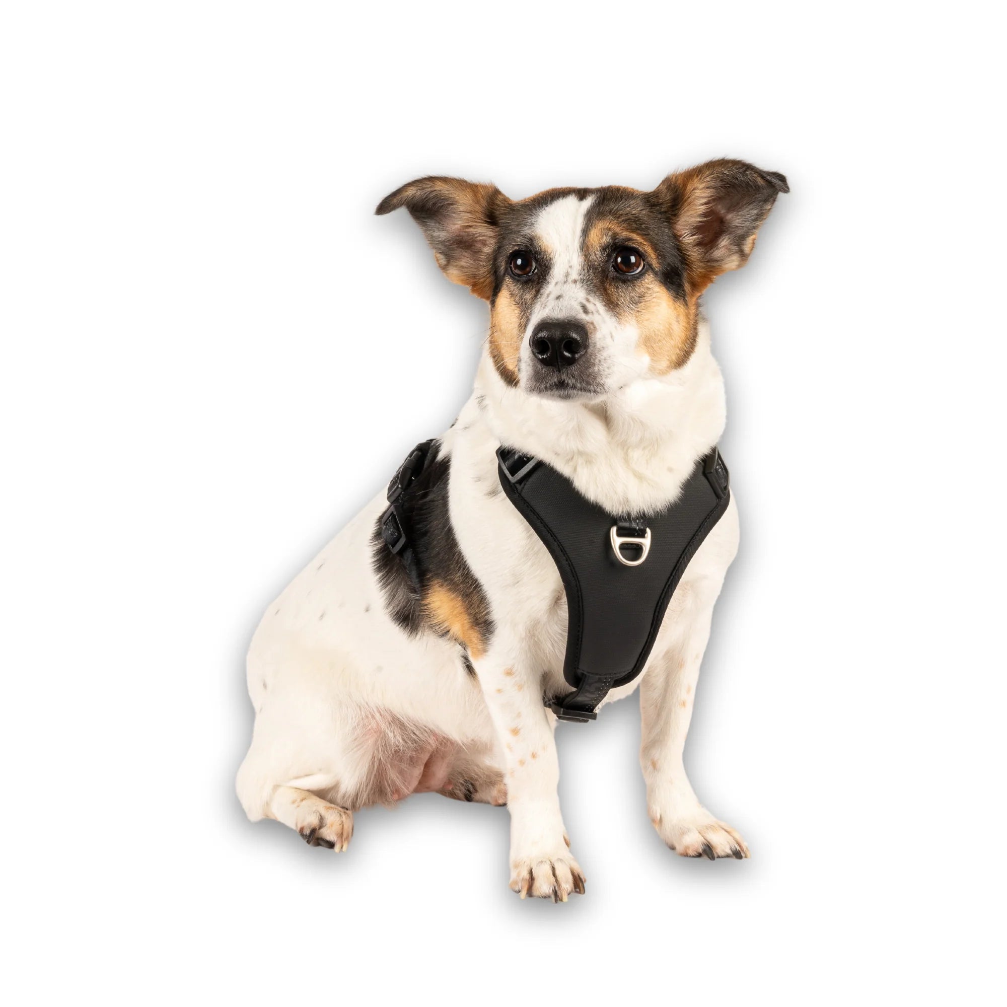 Max & Molly Matrix 2.0 Sport Sele - OUTLET
