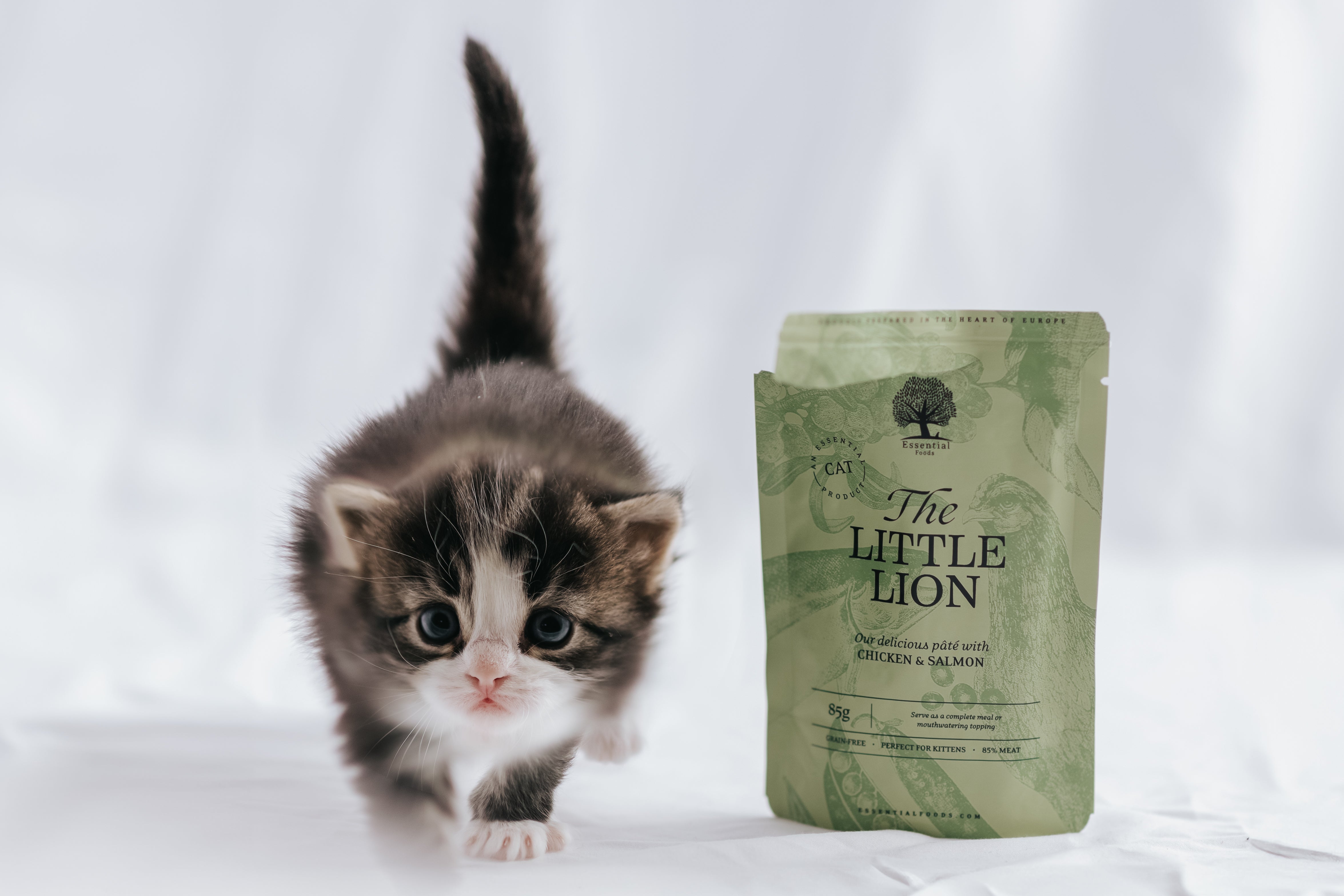 Essential Foods The Little Lion Paté
