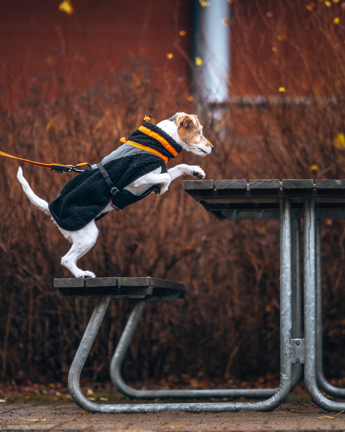 Non-Stop Trekking Fleece Jacket