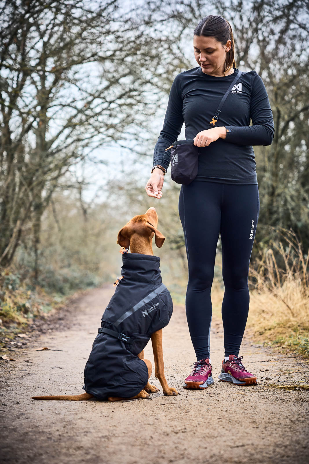 Non-Stop Trekking Insulated Dog Jacket