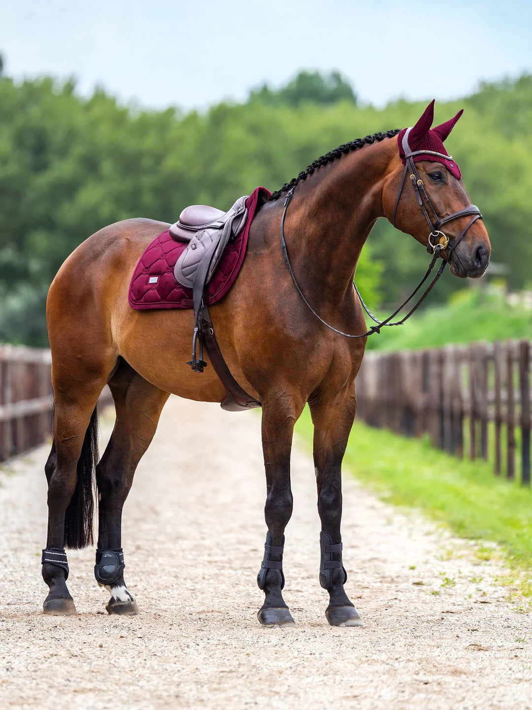 Equestrian Stockholm Hut