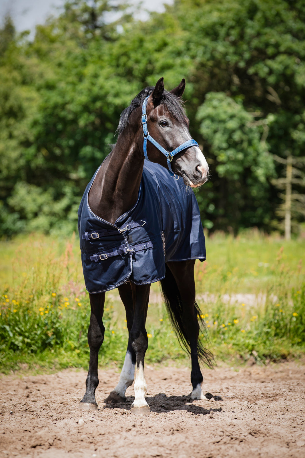 HorseGuard Landon 1200D Turnout Rug Standard Neck 200 g. - OUTLET