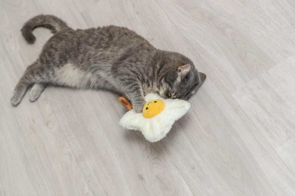 Trixie XXL Kattelegetøj
