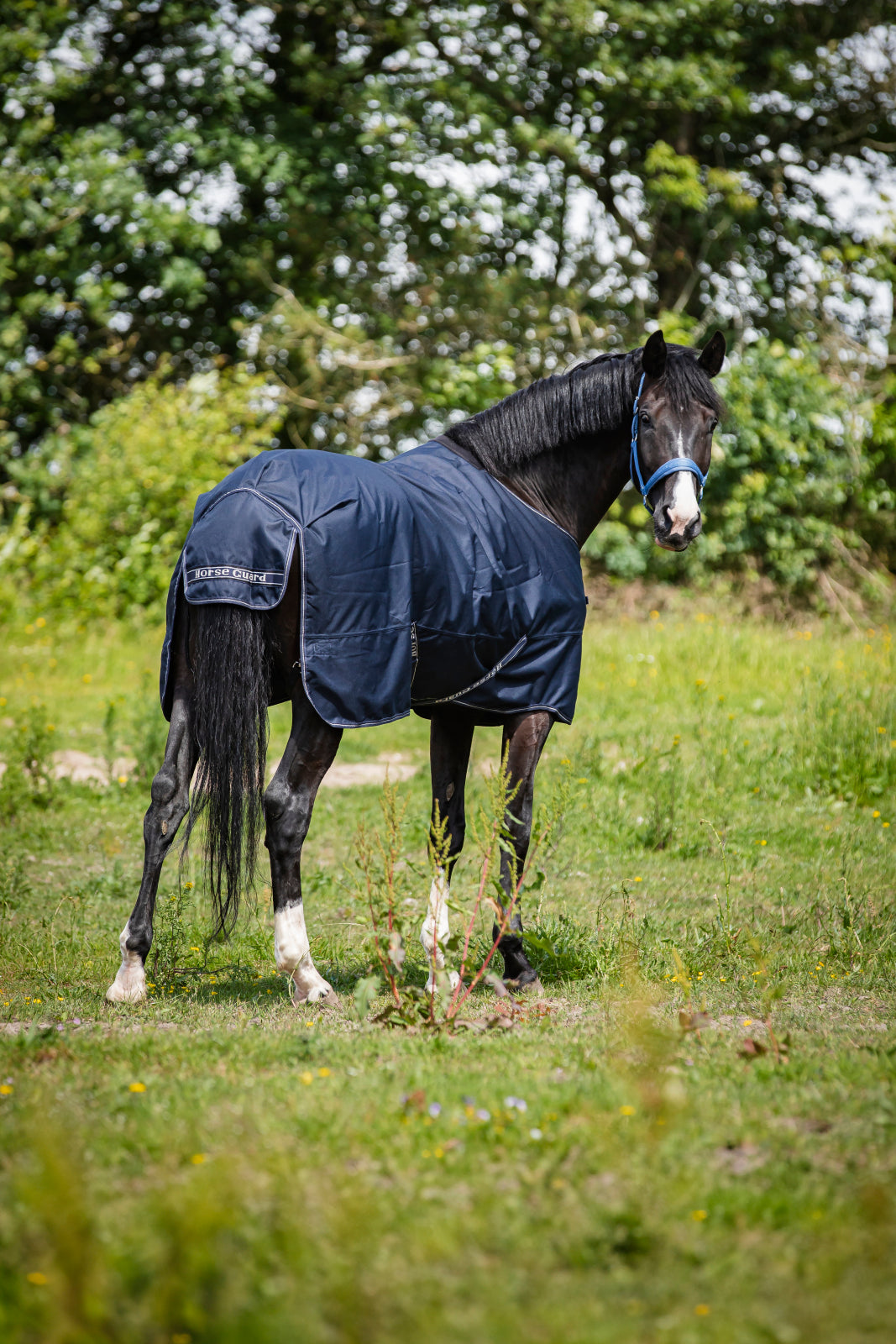 HorseGuard Landon Turnout Dækken, 100 g.
