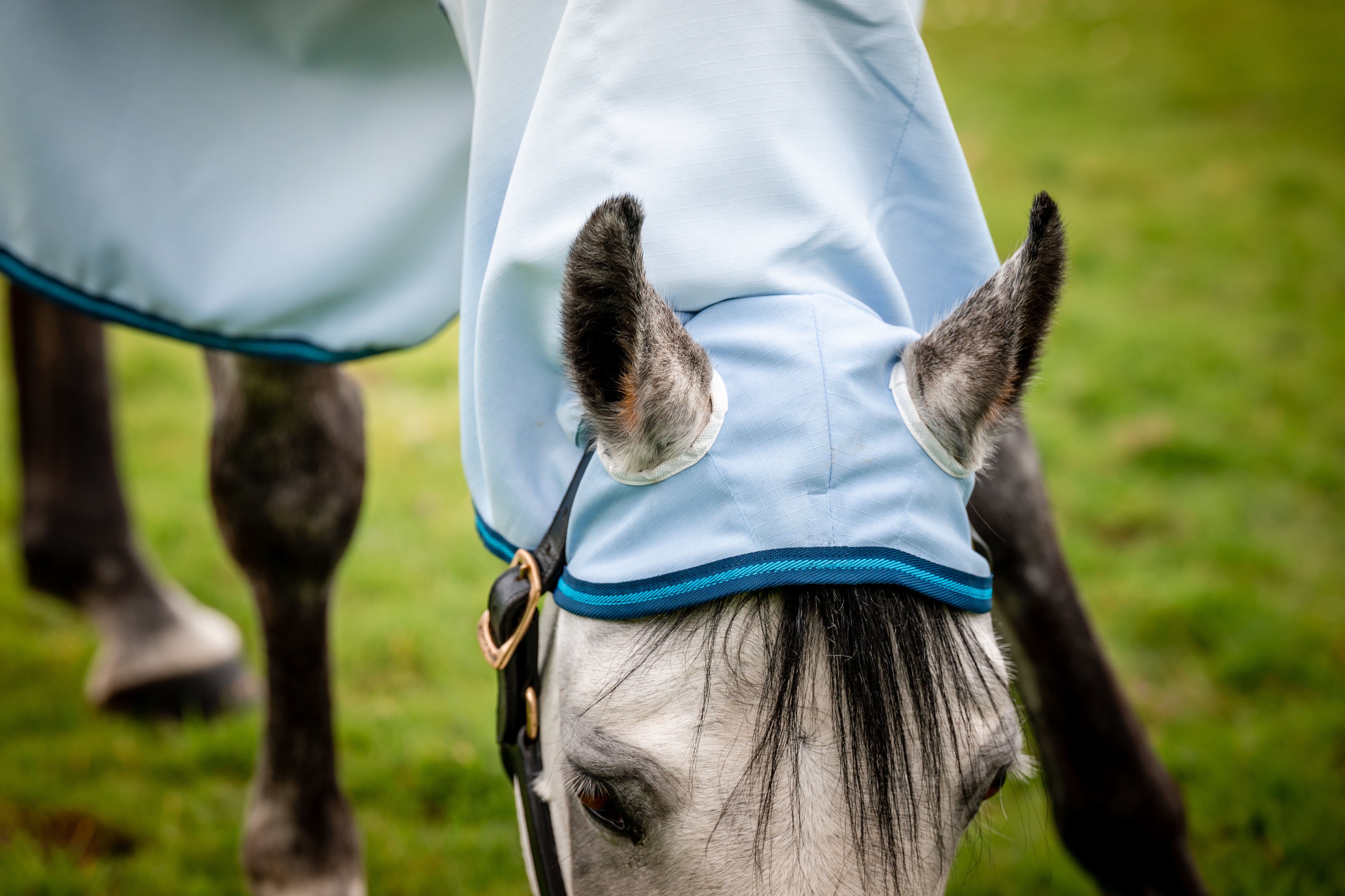 Horseware Amigo Ripstop Hoody