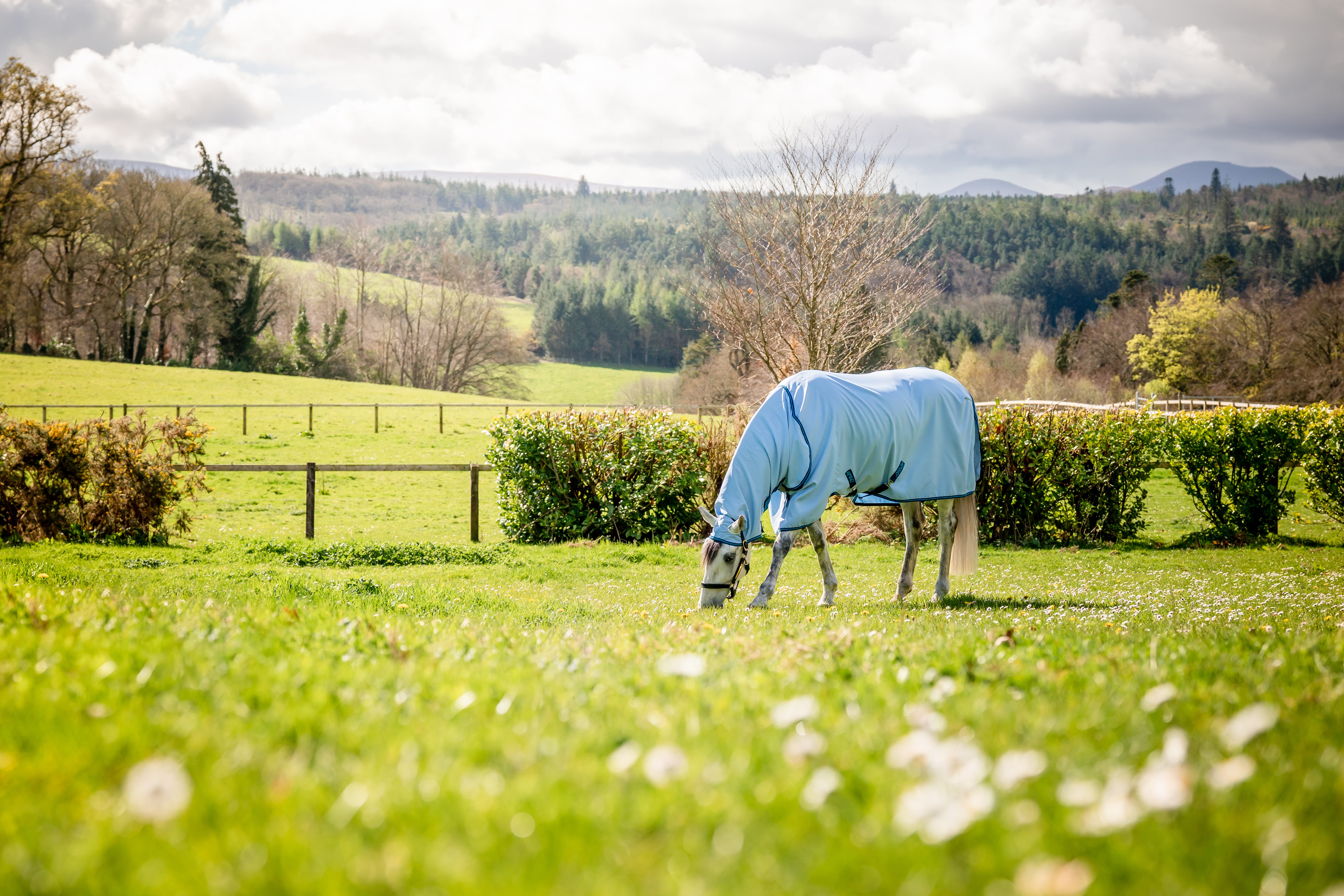 Horseware Amigo Ripstop Hoody