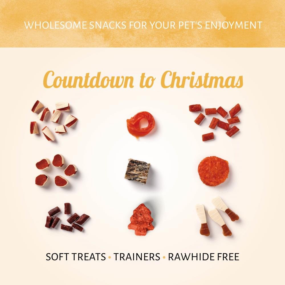 Antos Advents Calender Dog