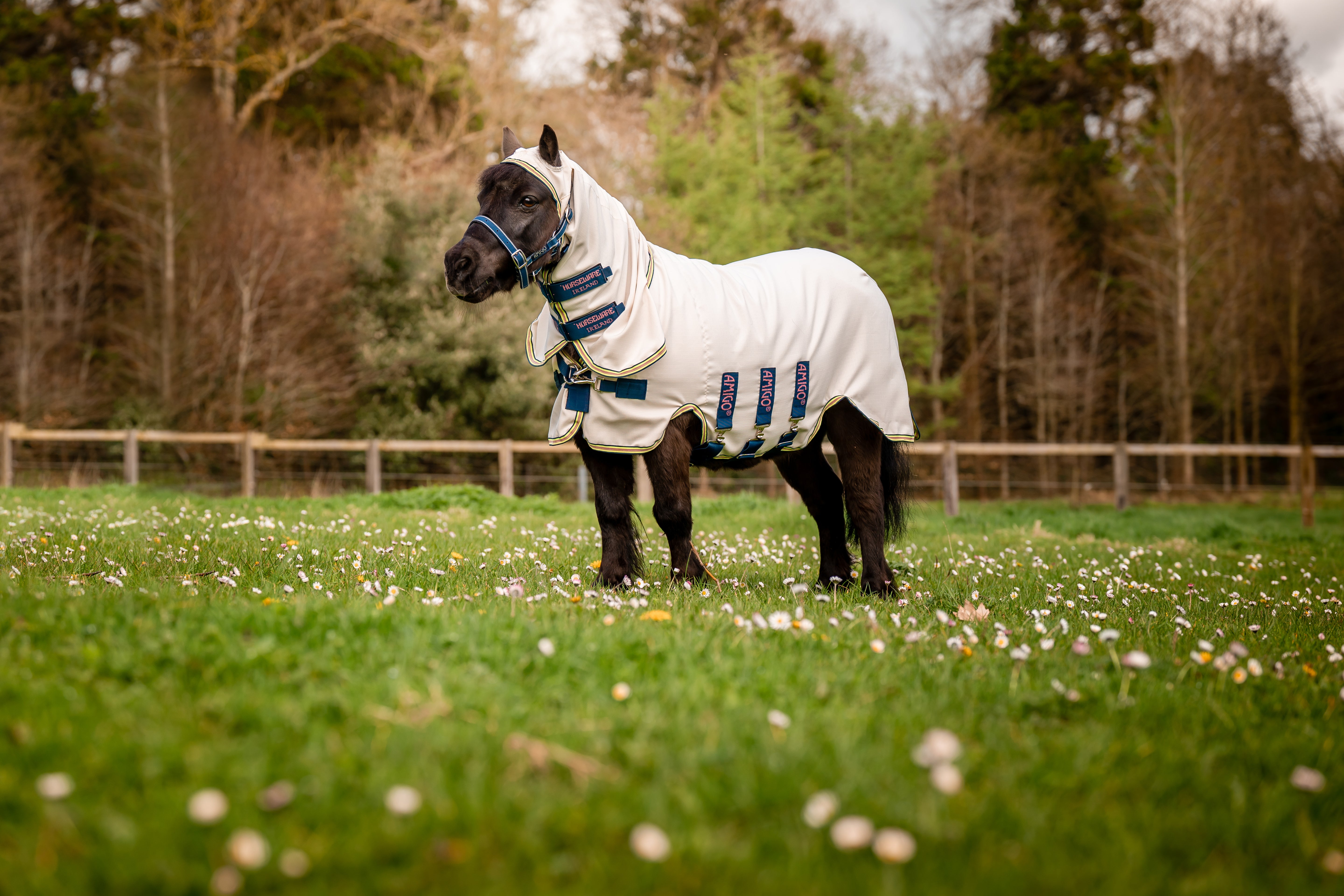 Horseware Amigo Petite Ripstop Hoody - OUTLET