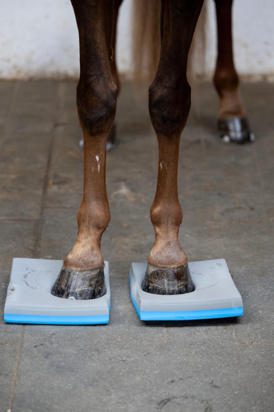 HorseGuard Balance-Pads, 2-Pak