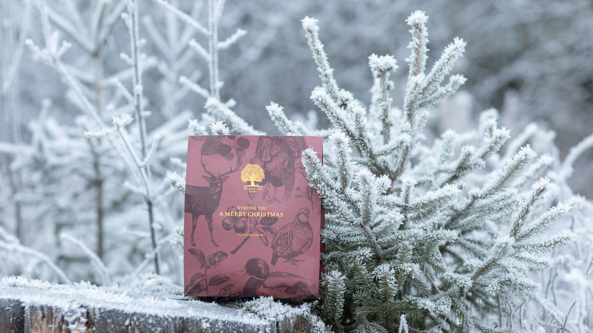 Essential Foods Christmas Present For Dog Limited Edition