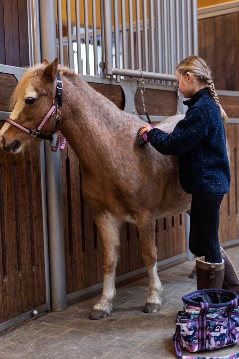 Equipage Jupiter Grooming Bag