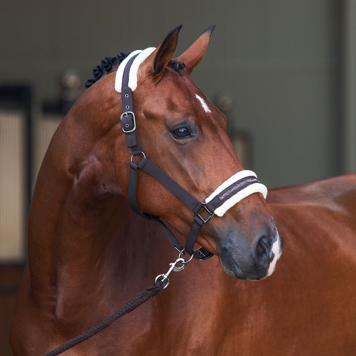 Imperial Riding IRHJewel Headcollar