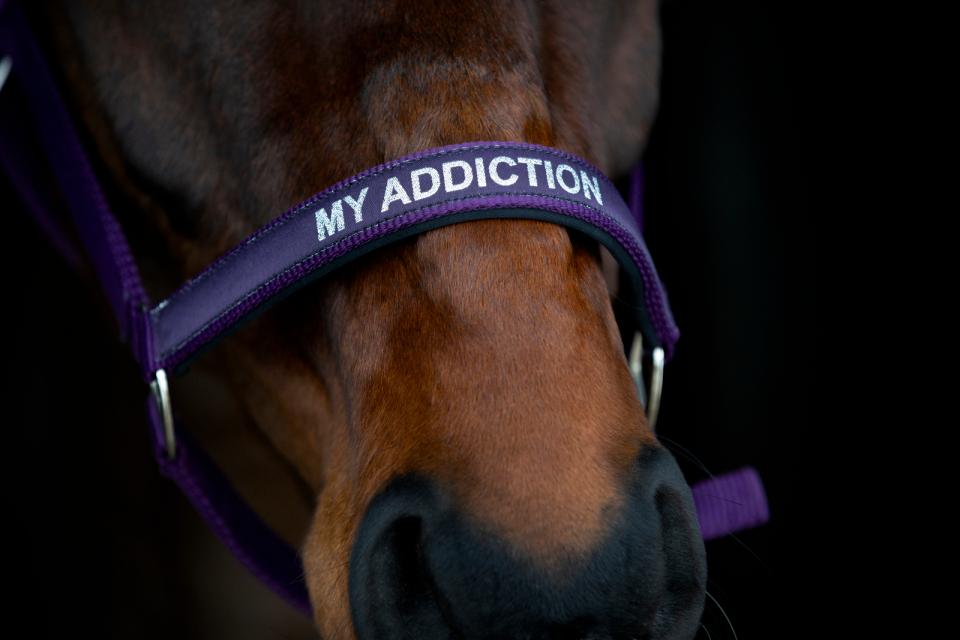 HorseGuard Malva grime "My Addiction"