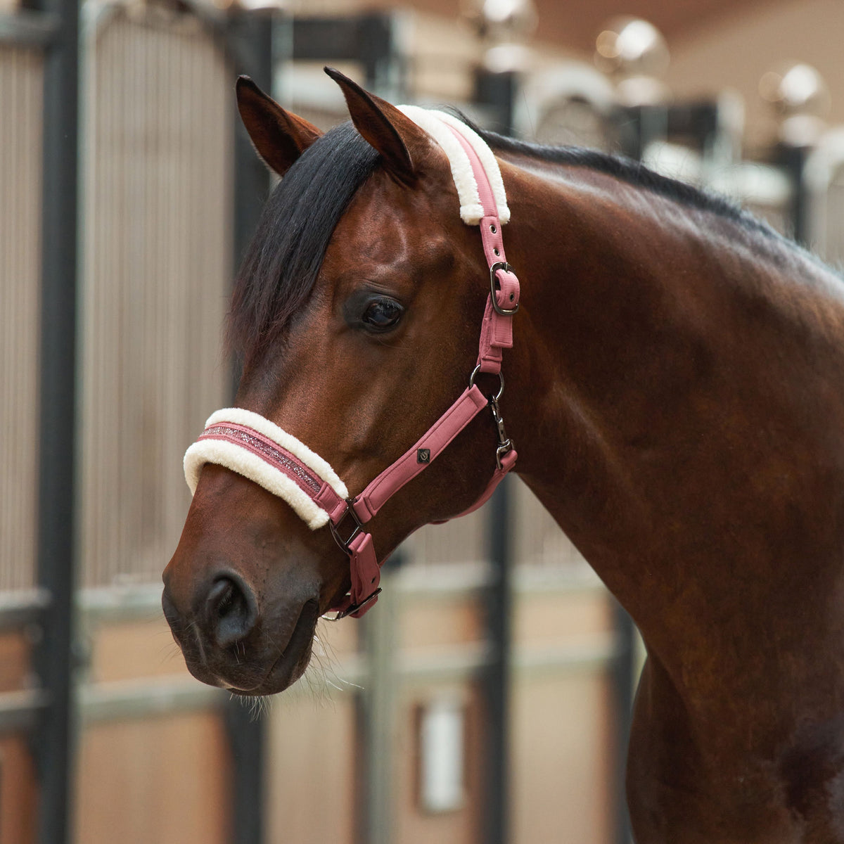 Imperial Riding IRHJewel Headcollar