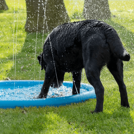 COOLPETS Splash Sprinkler