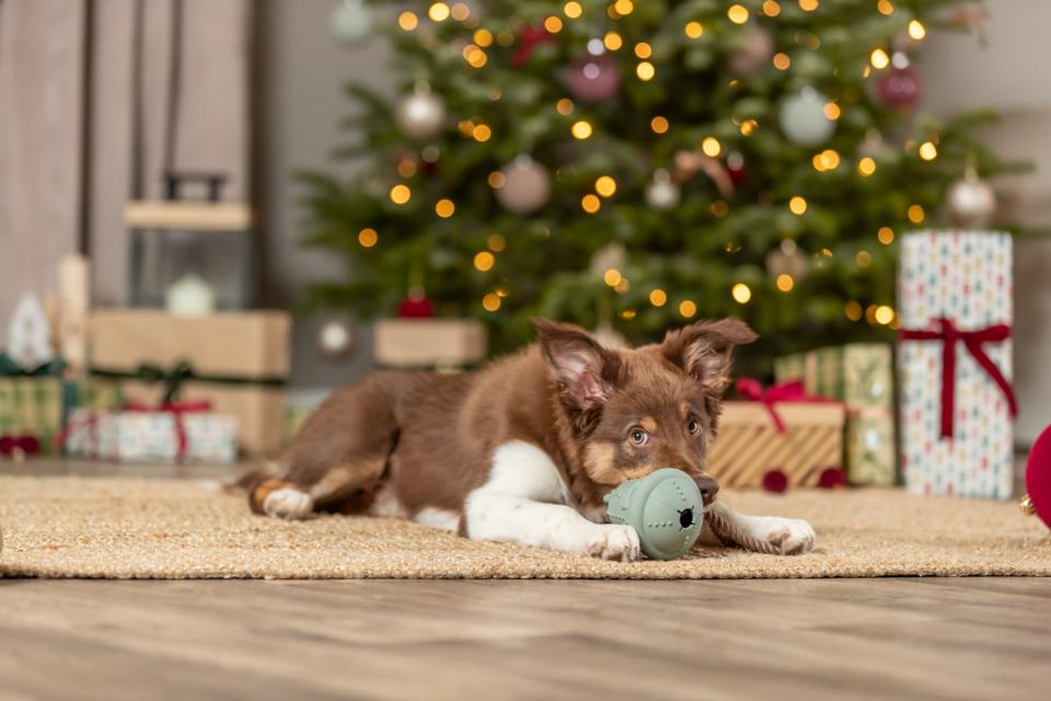 Trixie Xmas Juleklokke Med Reb