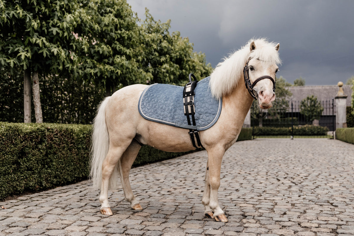Kentucky Velvet Pony Underlag