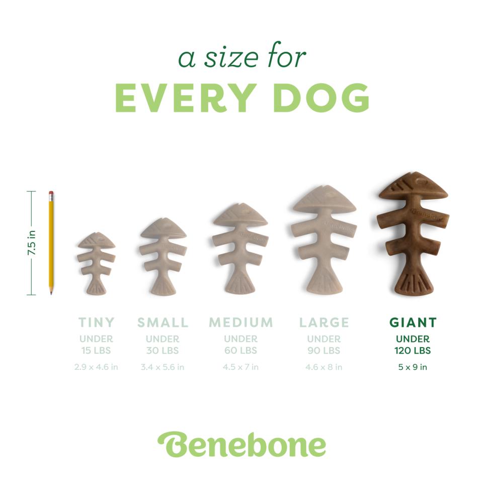 Benebone Fishbone tyggelegetøj