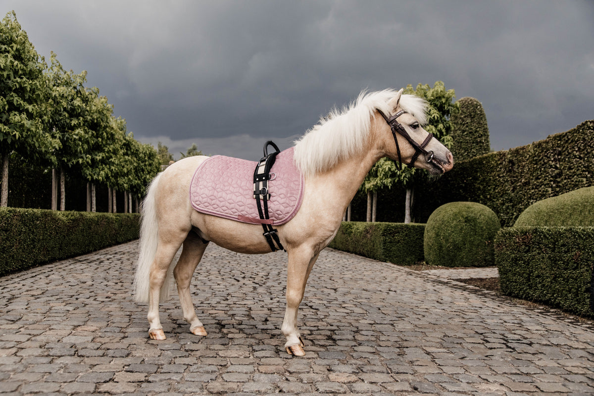 Kentucky Velvet Pony Underlag
