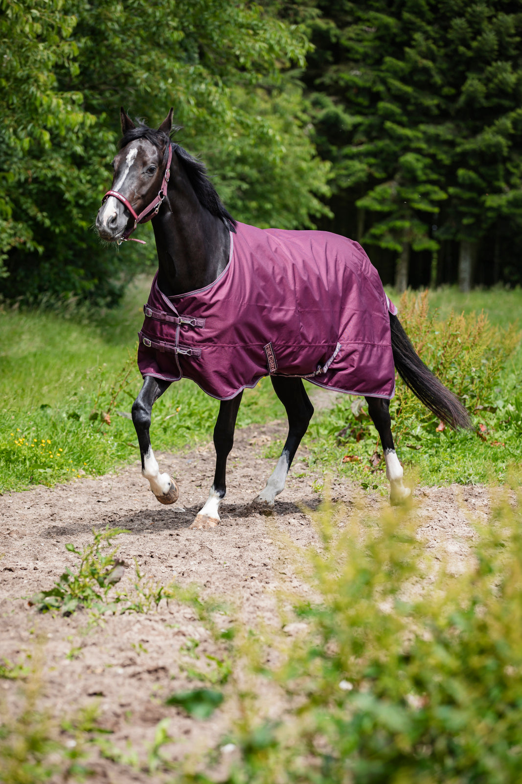 HorseGuard Landon Standard Neck 1200D Rug
