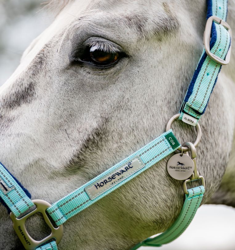 Horseware® Fieldsafe Headcollar