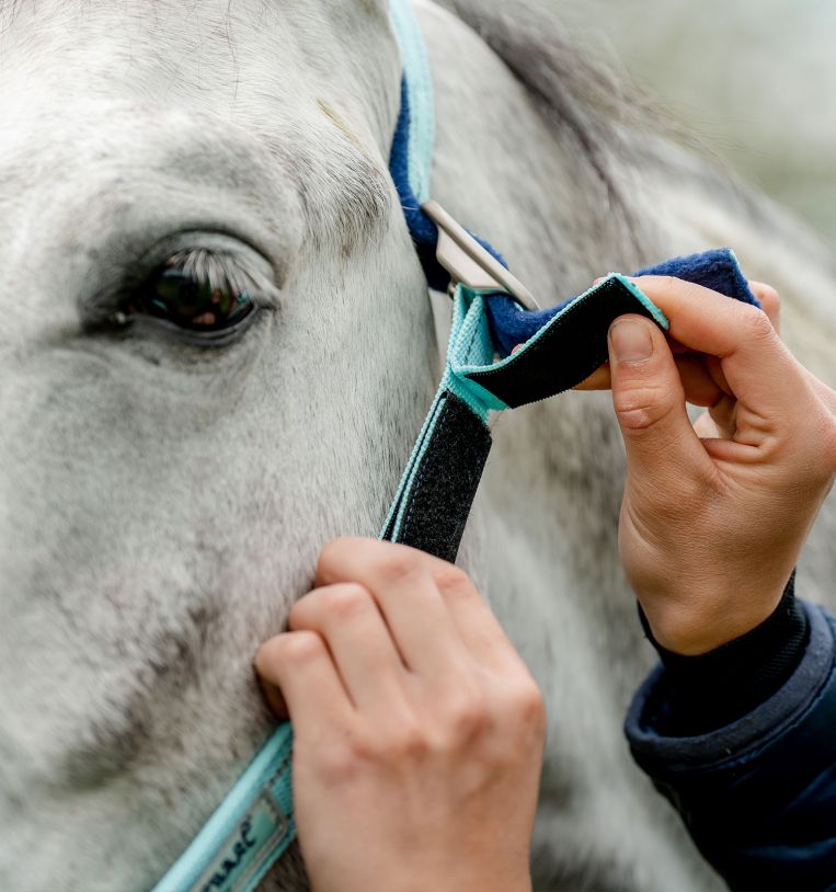 Horseware® Fieldsafe Headcollar