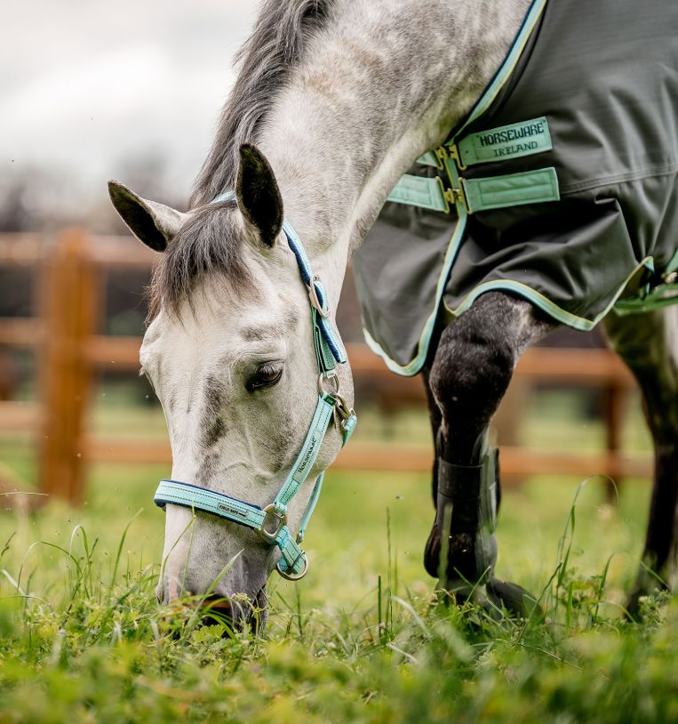 Horseware® Fieldsafe Headcollar