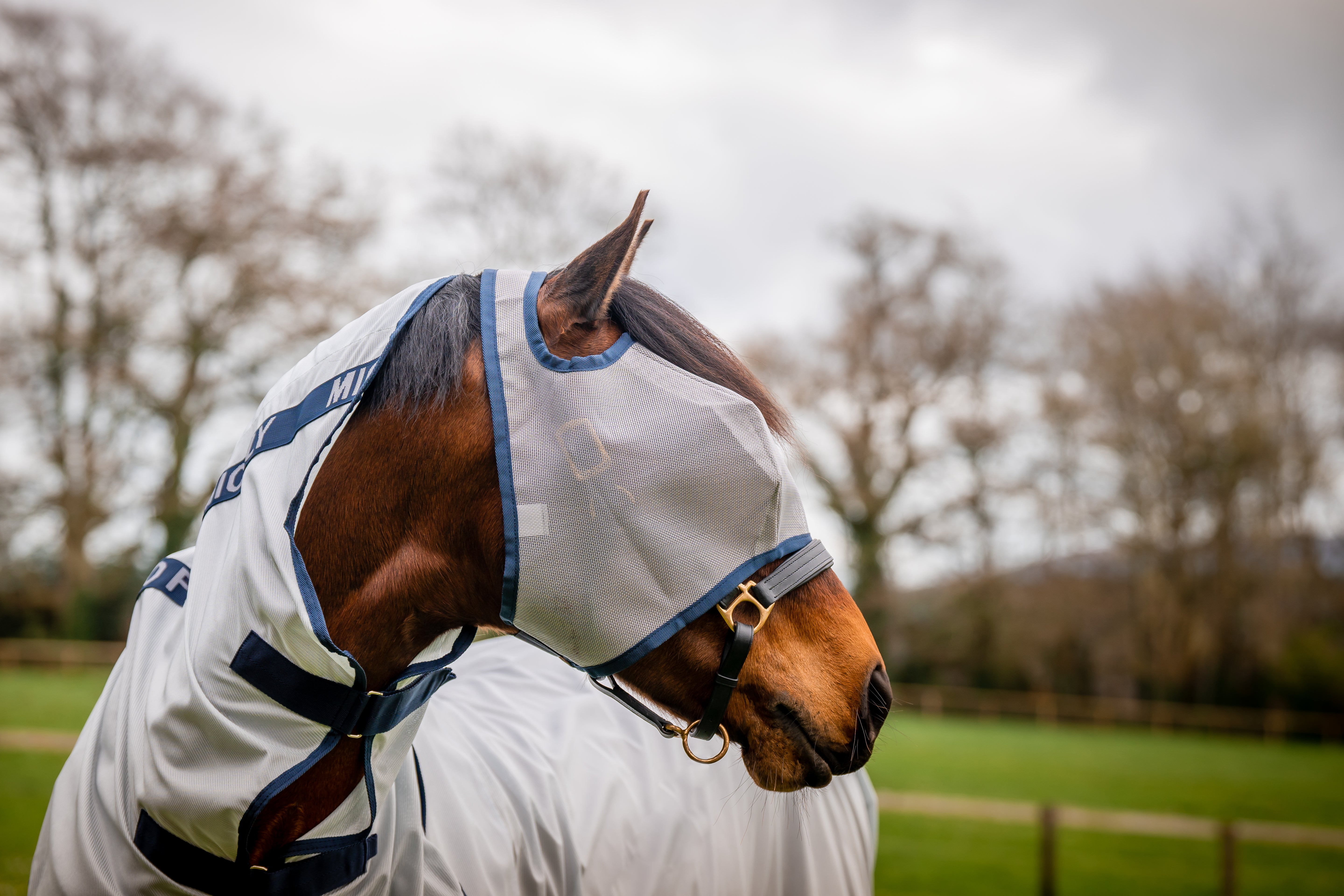 Horseware Mio Fly Mask - OUTLET
