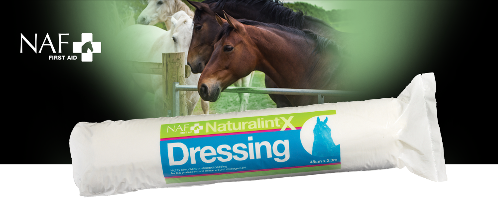 NAF NaturalintX Dressing