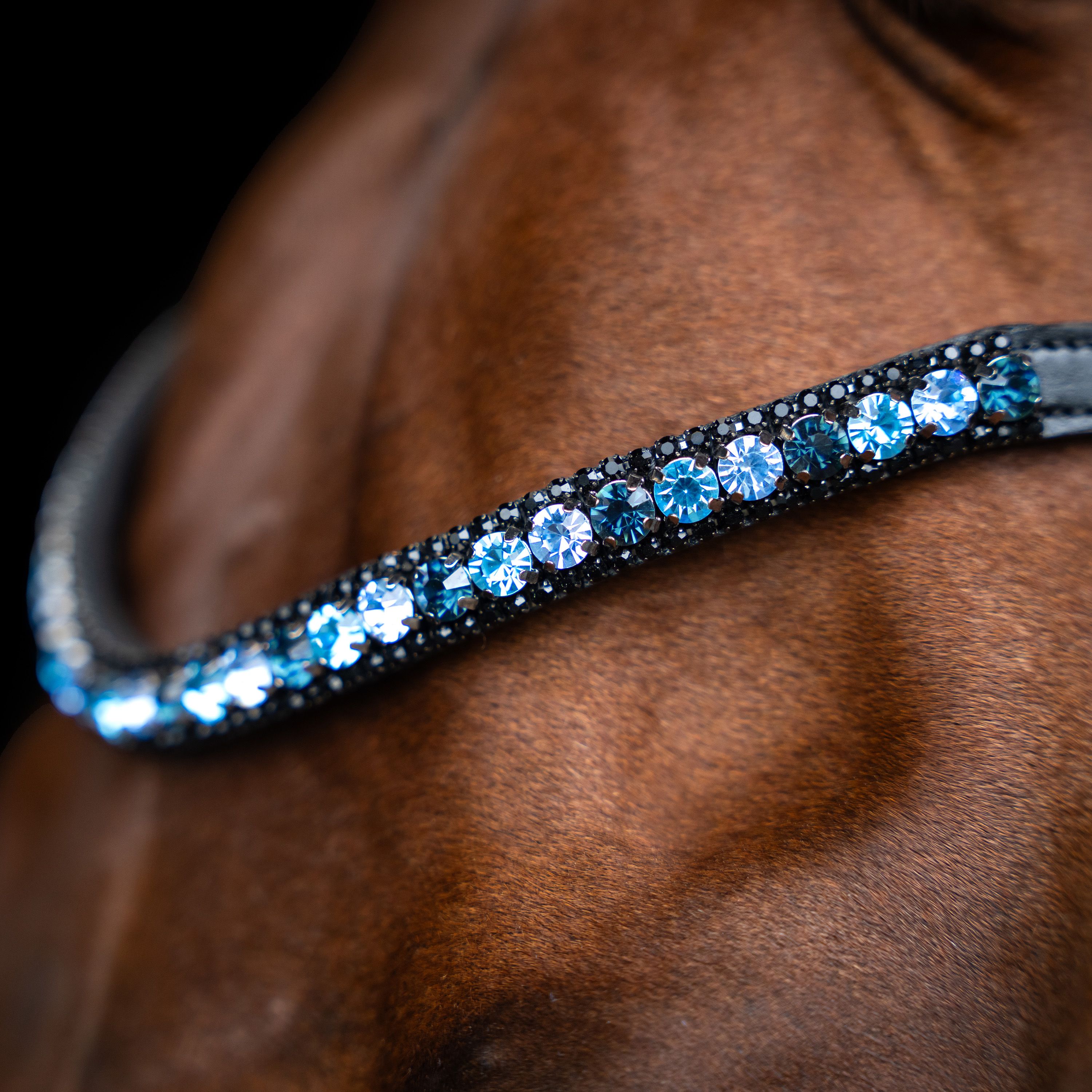 Imperial Riding Browband IRHGrande Blue