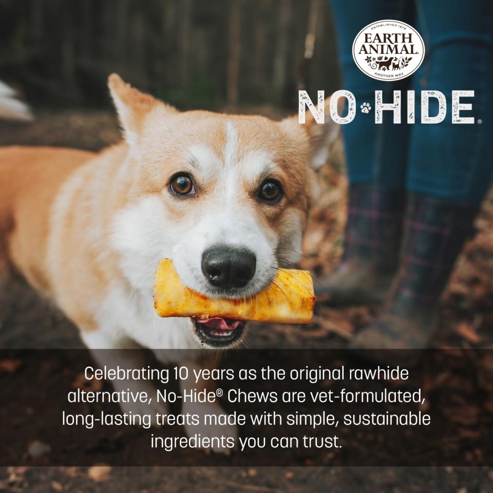 No-Hide Grilled Cheese Chew