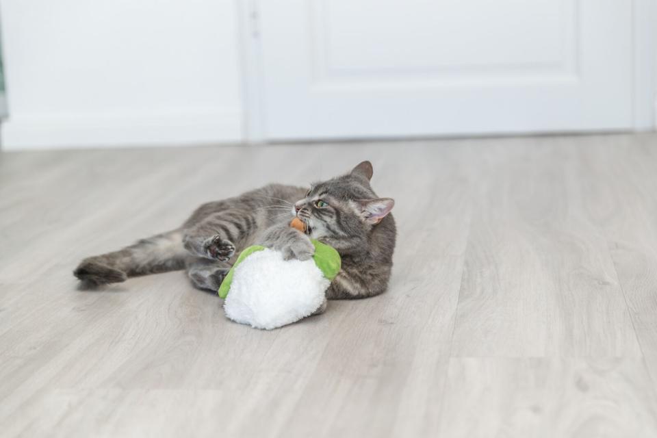 Trixie XXL Kattelegetøj
