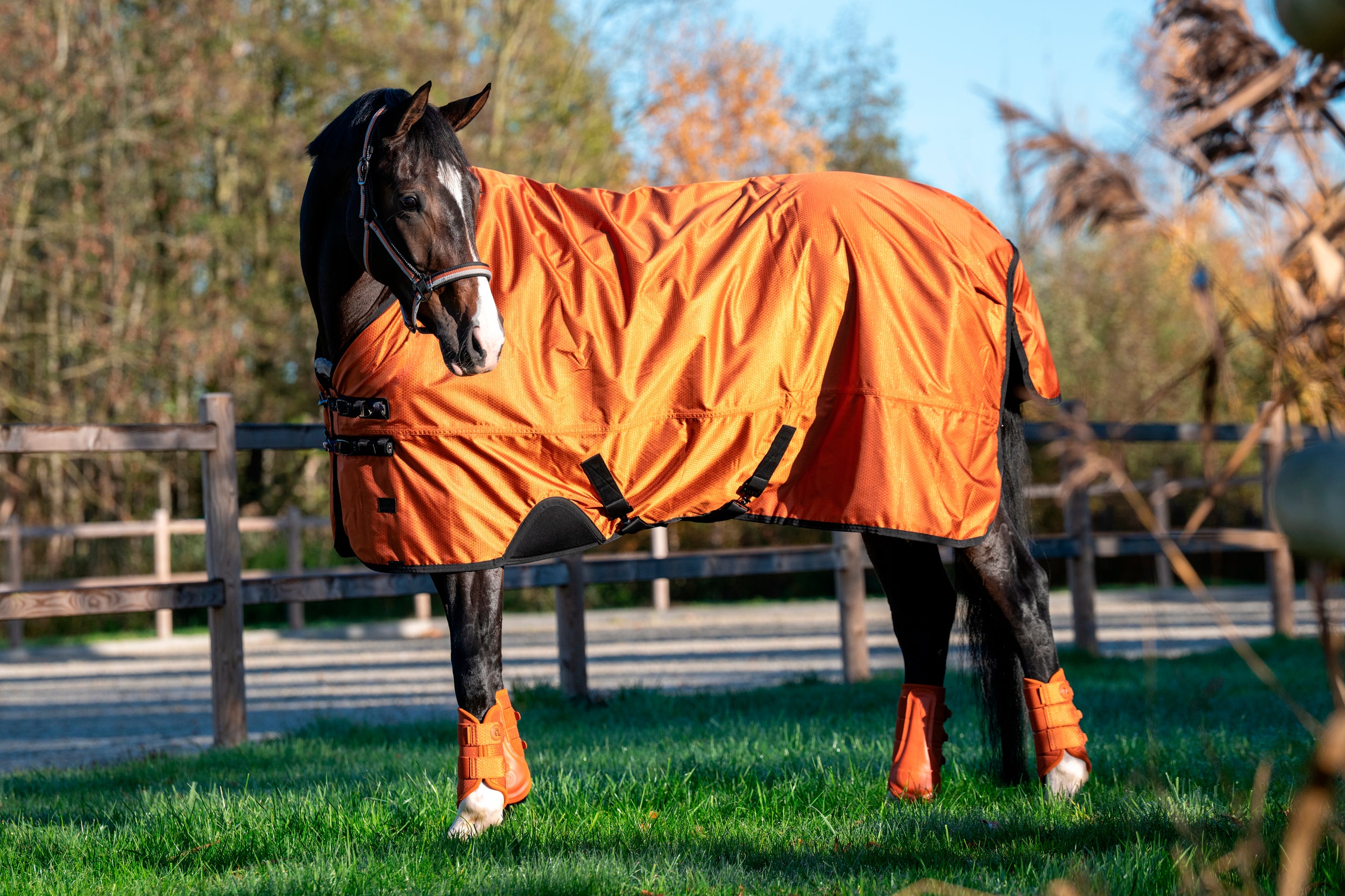 Eskadron Turnout Rug Alpha 1200D Platinum